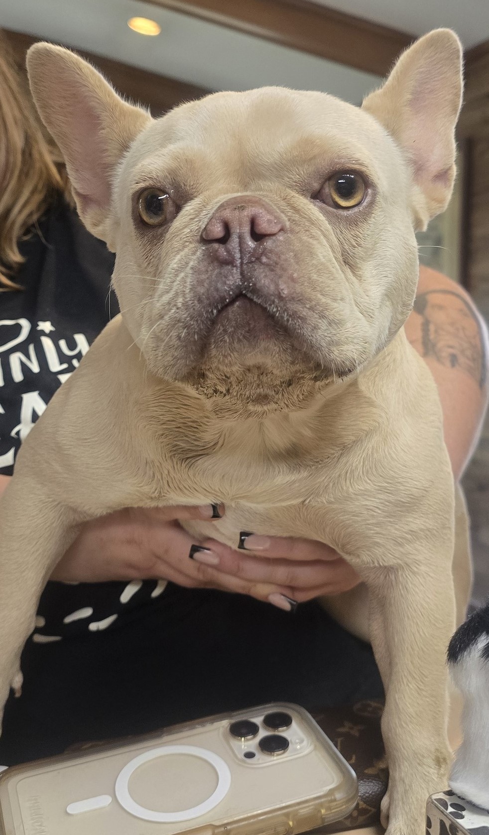 Piggy